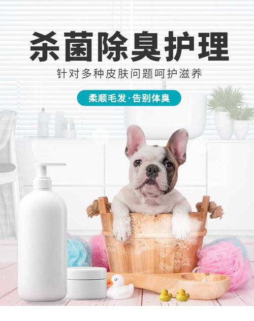 简约宠物洗护用品详情页 手机海报长图